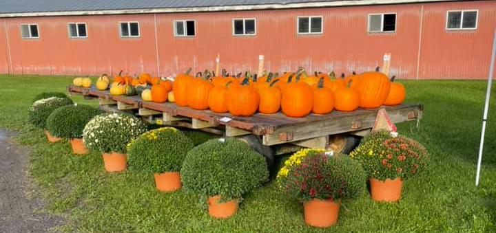 NFD offering free pumpkin carving event on October 28